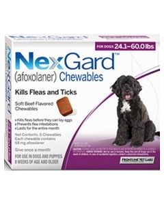 NexGard for Dogs - 24 - 60 lbs - PURPLE - 3 tablets